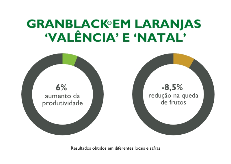 RESULTADOS granblack