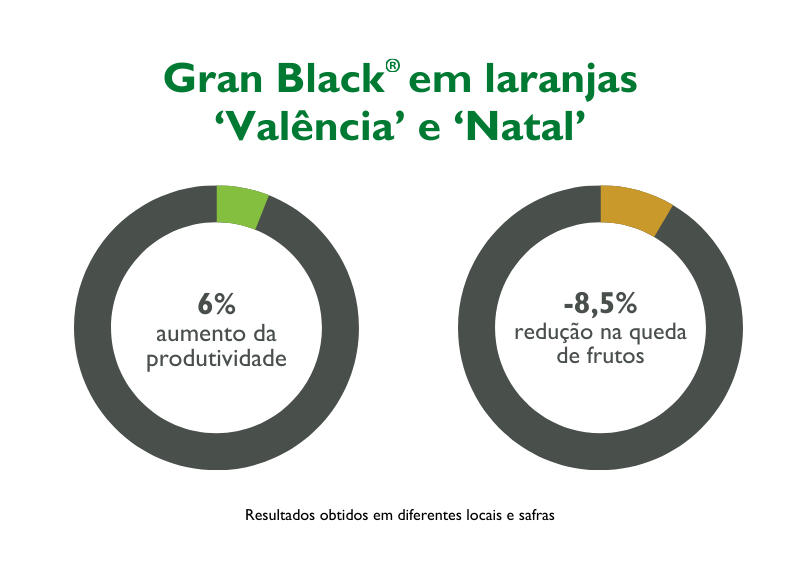gráfico de resultados Gran Black