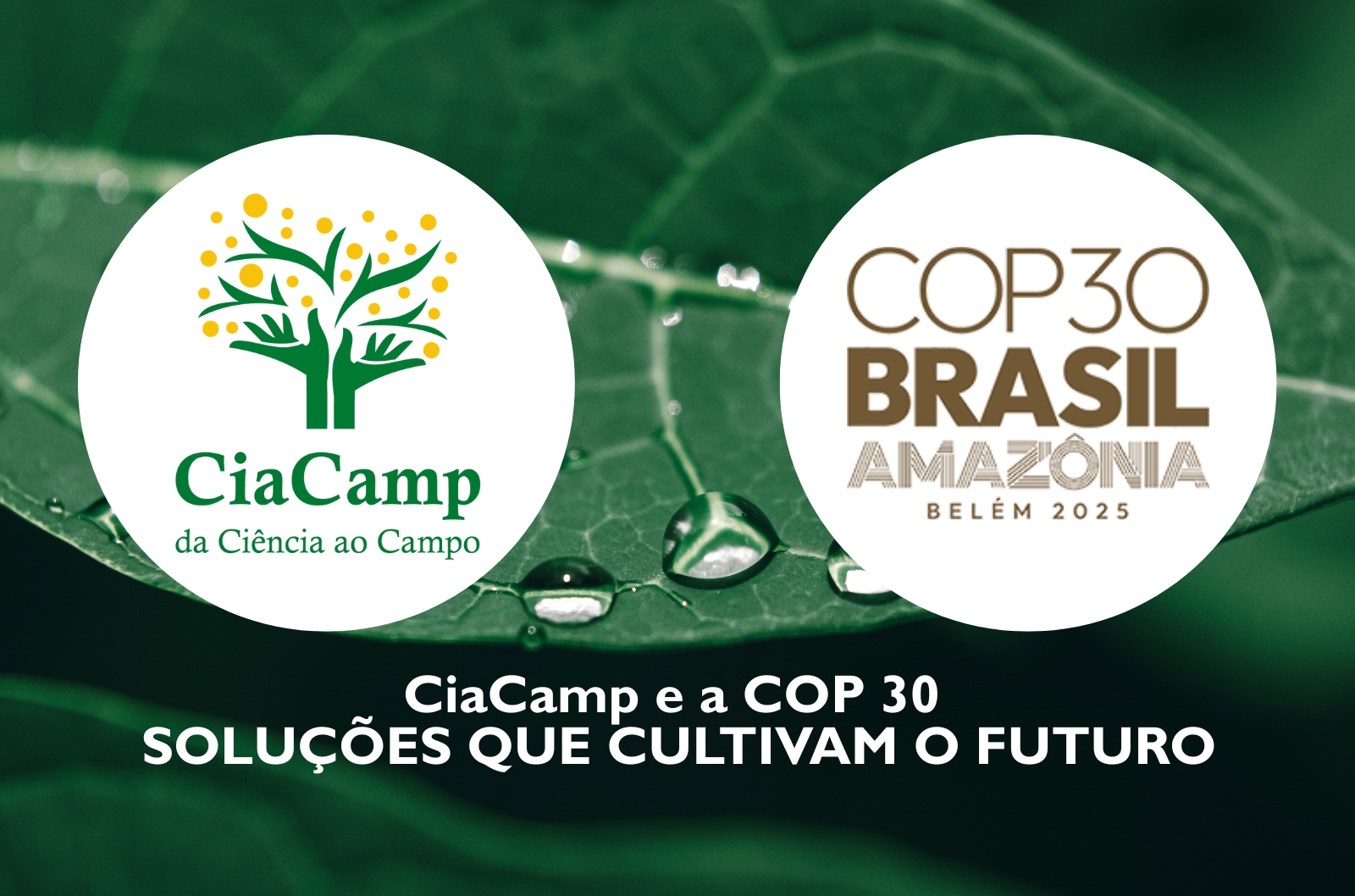Imagem destaque - CiaCamp COp 30 agricultura sustentável